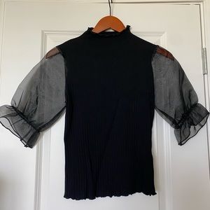 Black Top Sheer Sleeves